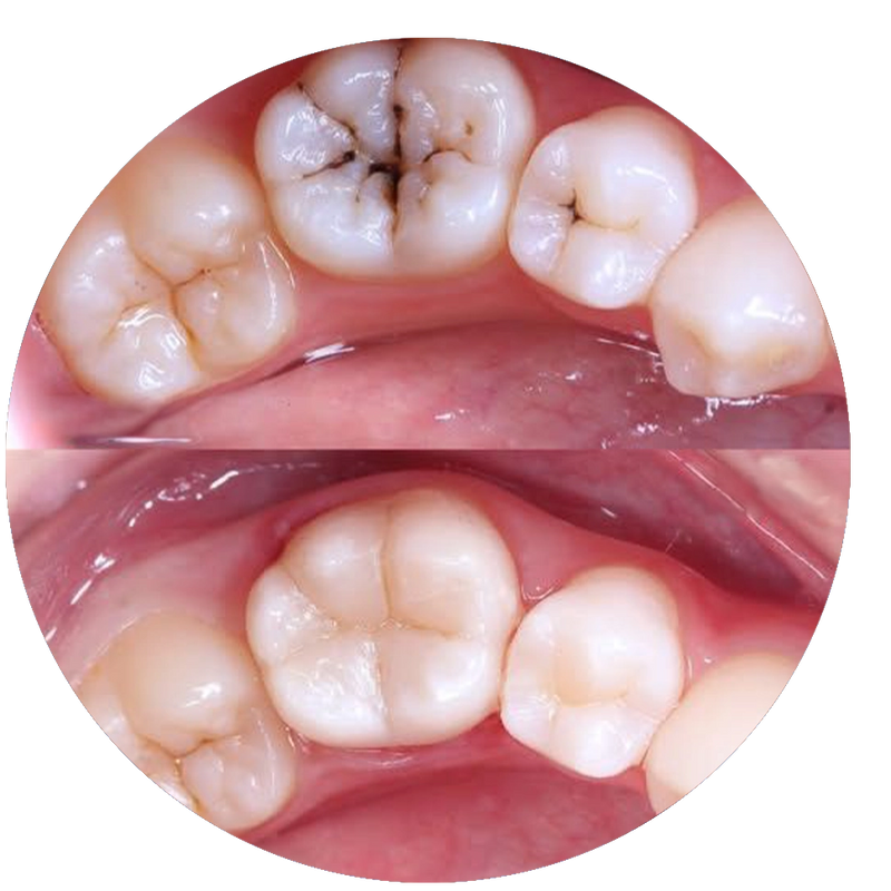 Stomatologie Generală