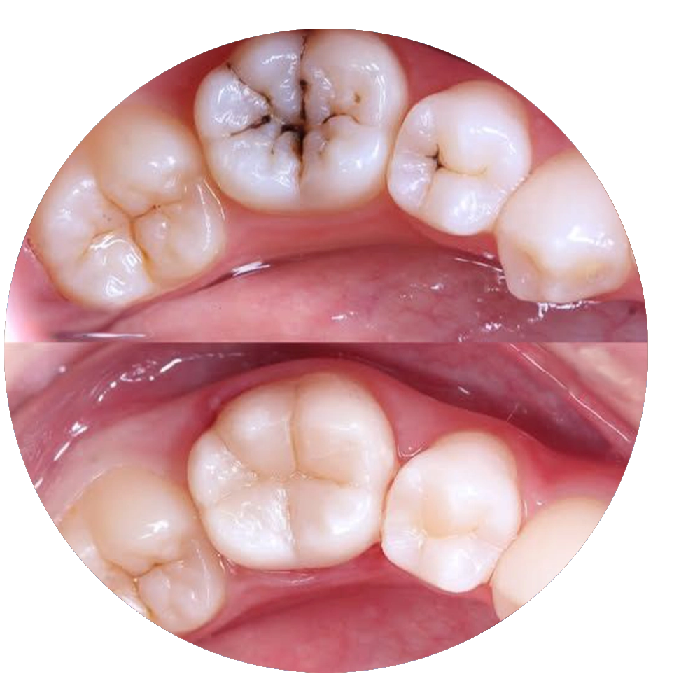 Stomatologie Generală